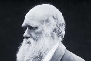 Charles Darwin writes of tattooing