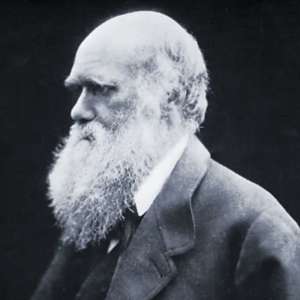 Charles Darwin writes of tattooing