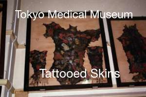 Human Skin Collection Tokyo, Japan - 